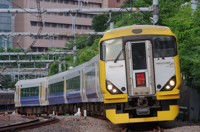 E257系「あやめ祭り」
