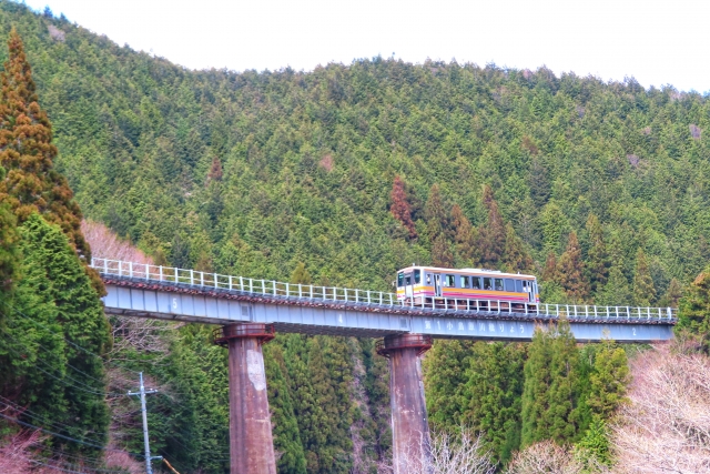 芸備線第1小鳥原川橋梁