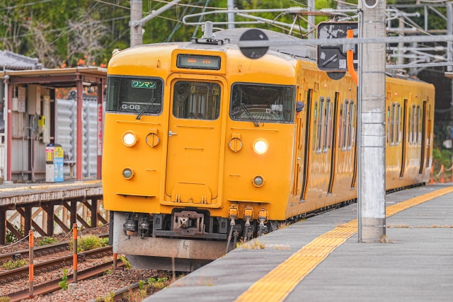 １１５系伯備線