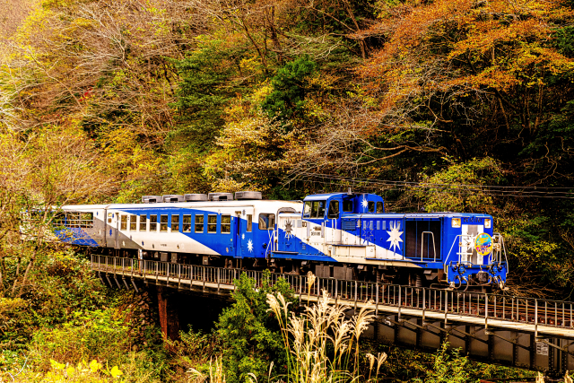 奥出雲おろち号