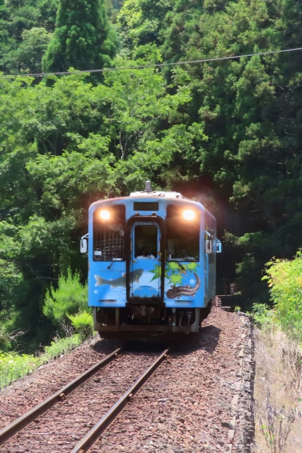 錦川清流鉄道　せせらぎ号