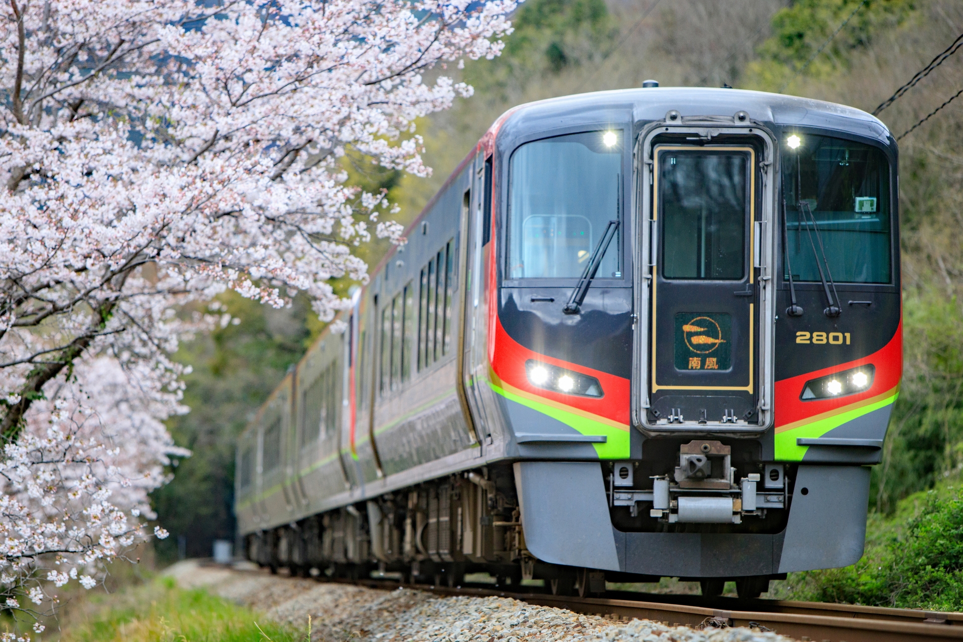 2700系 特急「南風」と桜