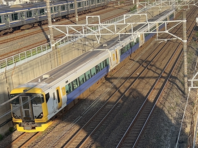 E257系新宿わかしお