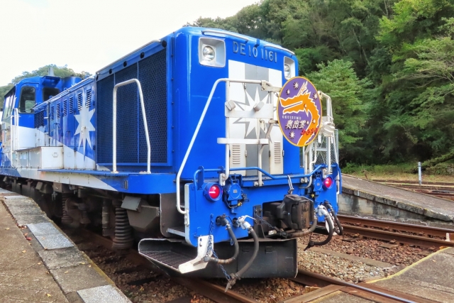 備後落合駅に停車中の奥出雲おろち号