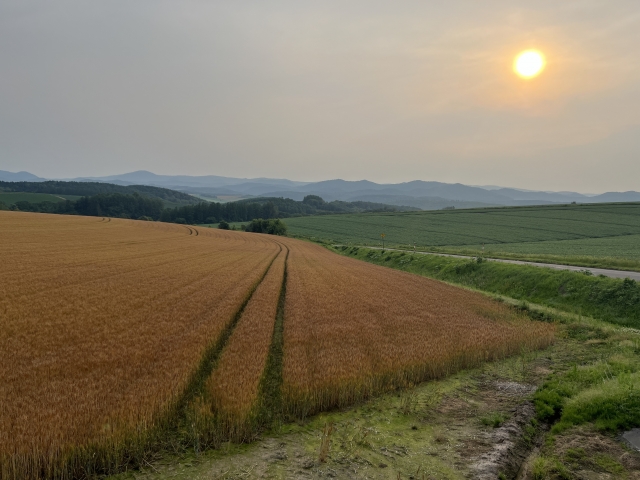 パッチワークの路