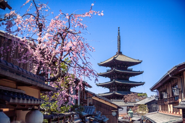 京都八坂の塔とさくら