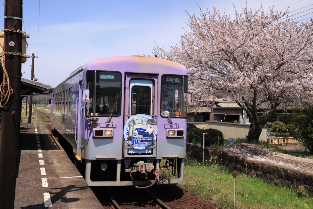北条鉄道と桜