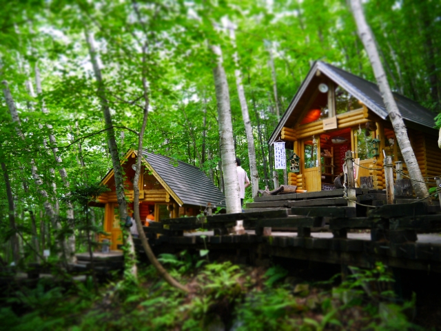 富良野　ニングルテラス