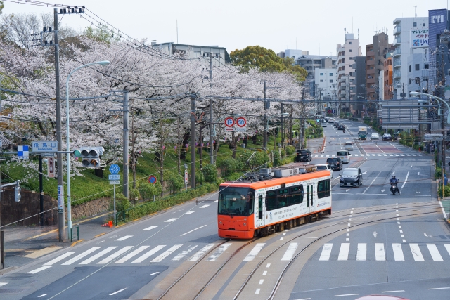 飛鳥山公園とさくらトラム