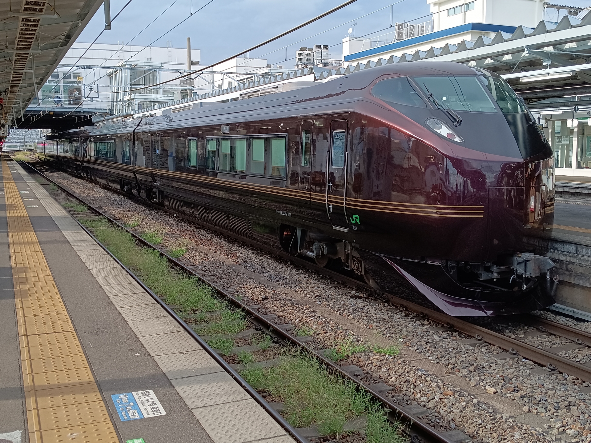 JR東日本　E655系電車