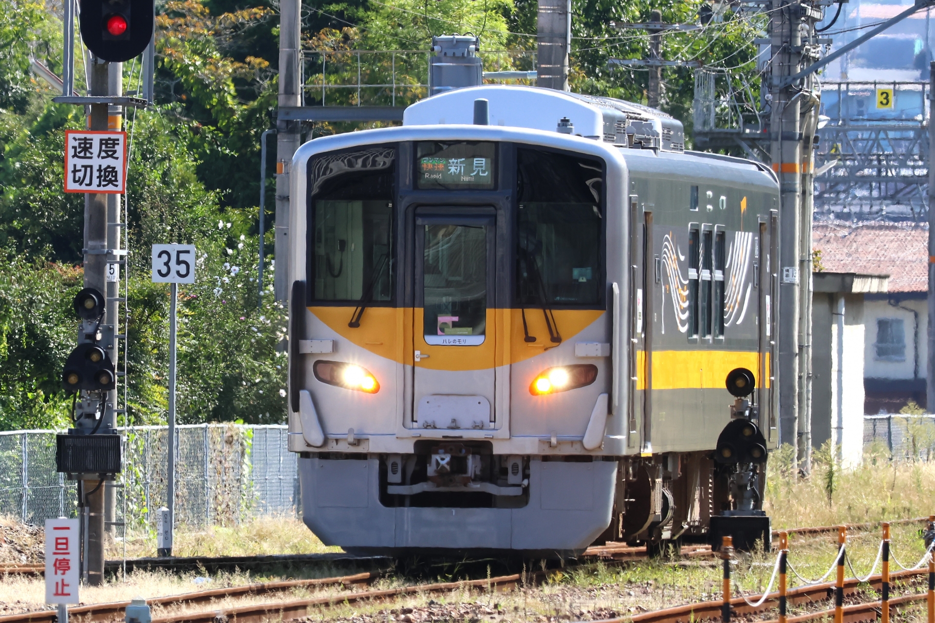 JR西日本DEC700形　姫新線「快速ハレのモリ」