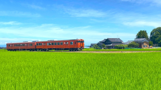 城端線と田園景色