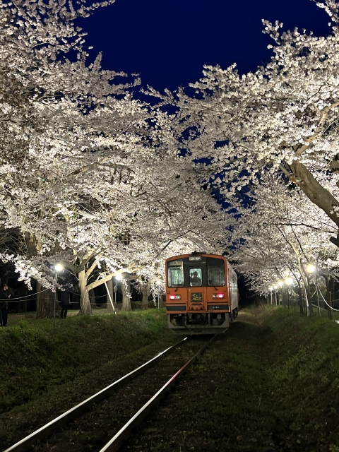 夜の津軽鉄道　走れメロス号