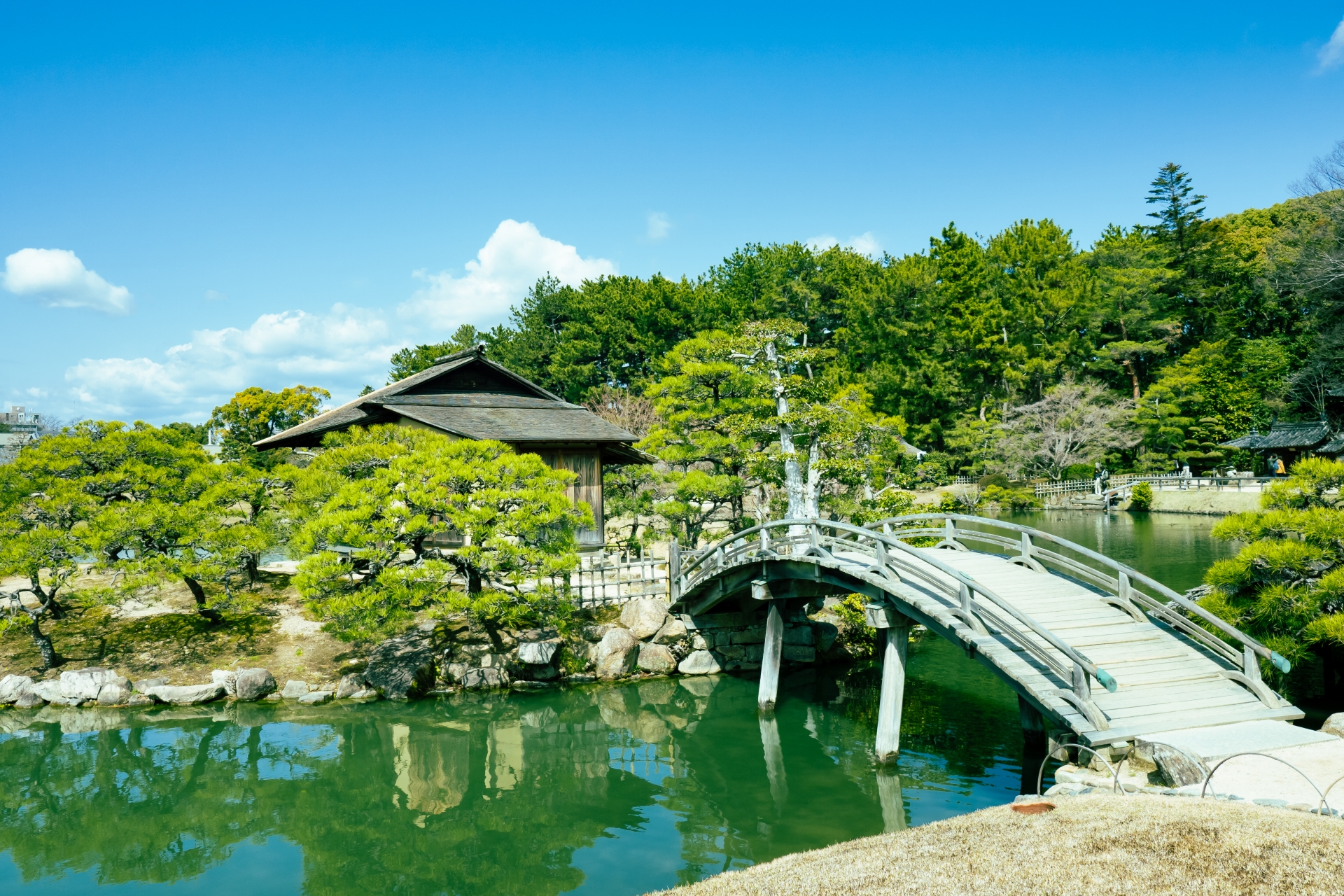 春の岡山後楽園の池の風景