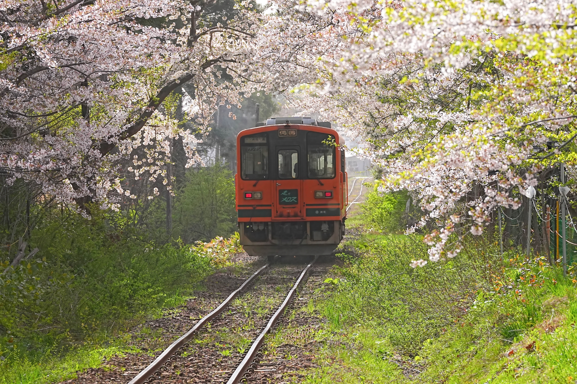 津軽鉄道（芦野公園駅）