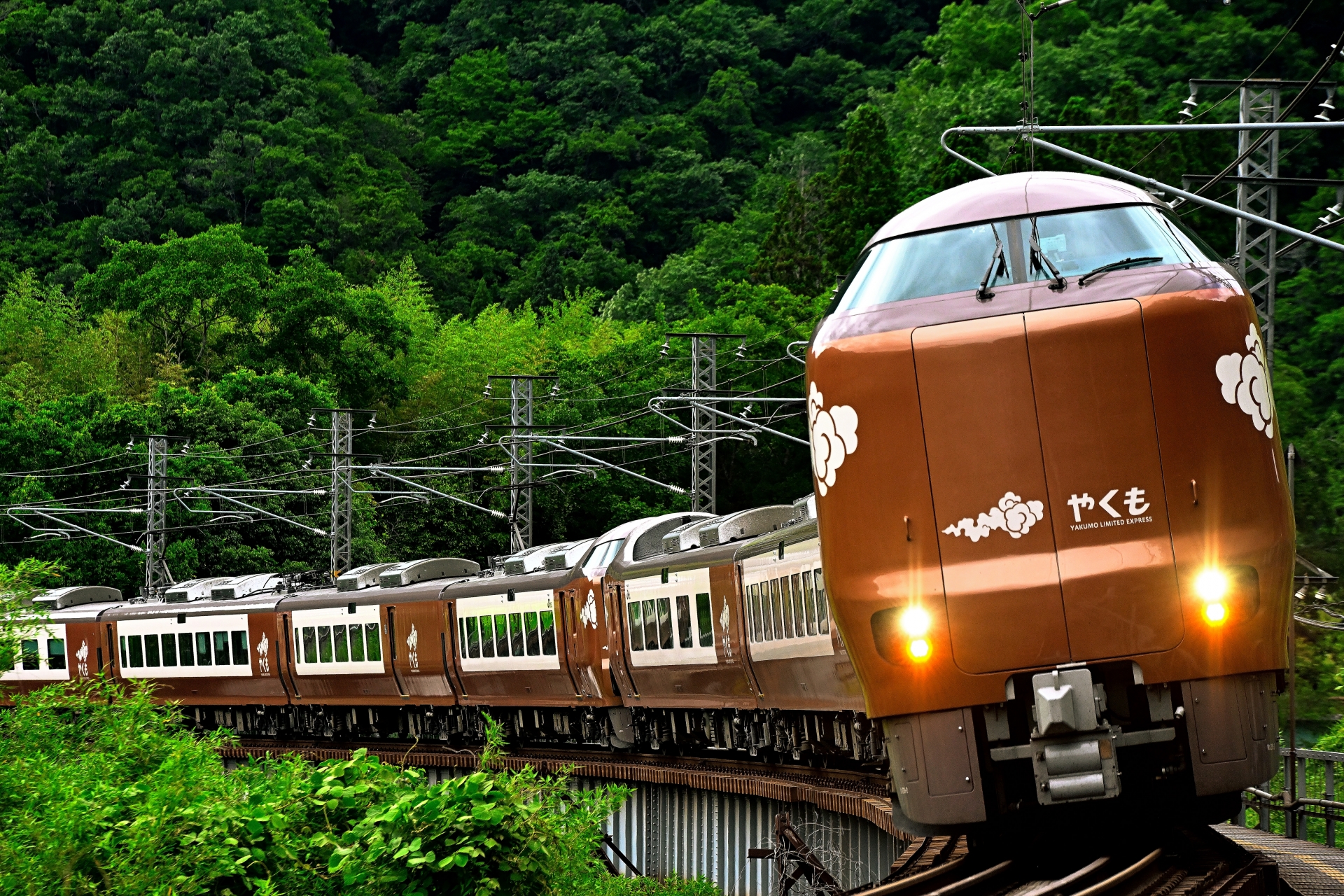 特急やくも（繁忙期の8両編成）