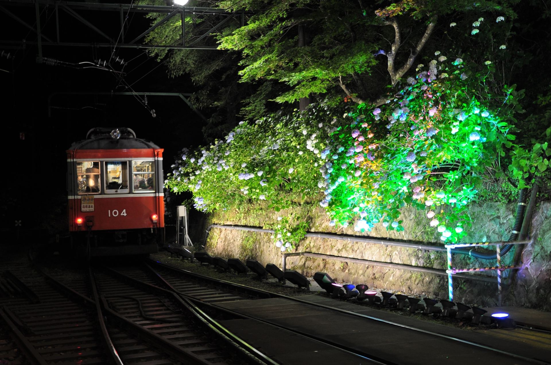 箱根登山鉄道とあじさい