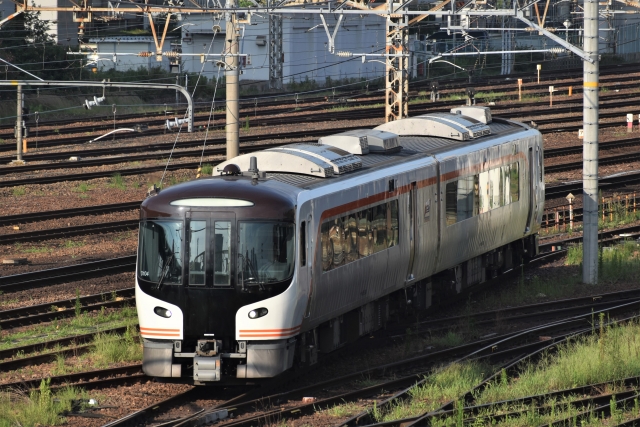 紀勢本線　特急「南紀」HC85系