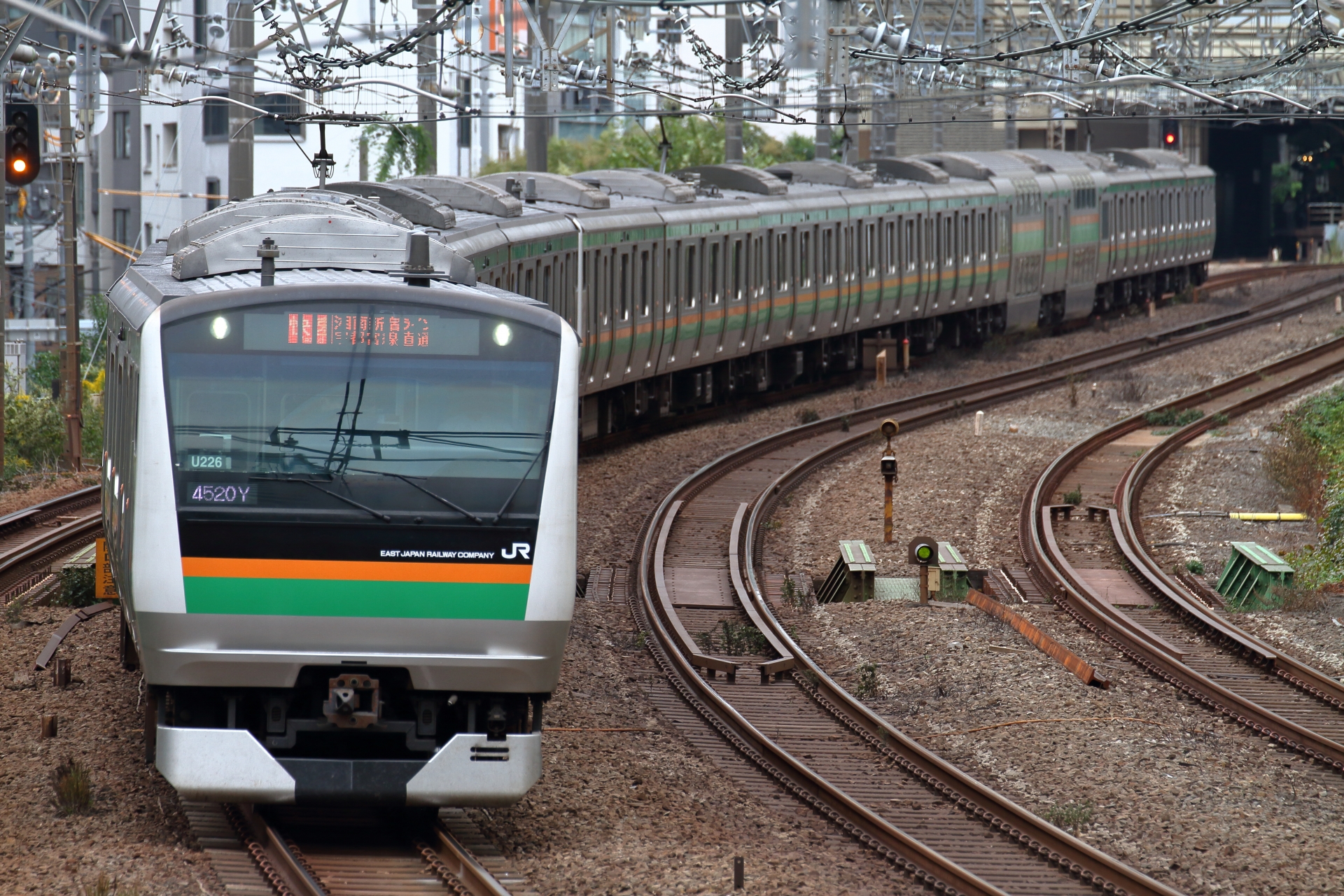 E233系3000番台（湘南新宿ライン）