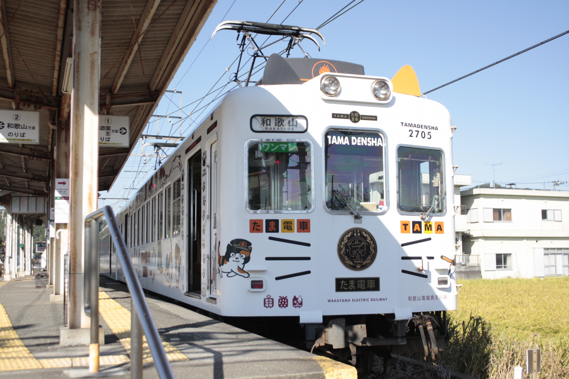 和歌山電鐵 たま電車