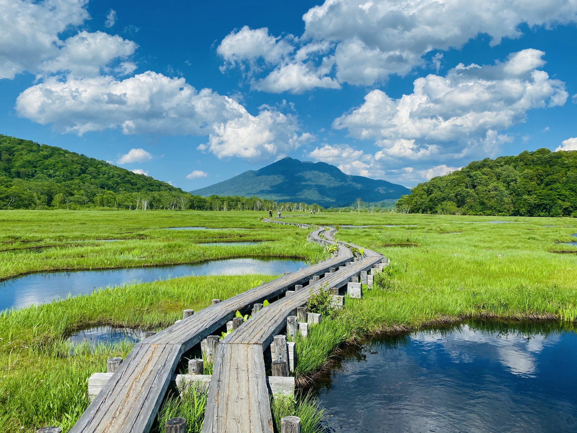 夏の風景　尾瀬