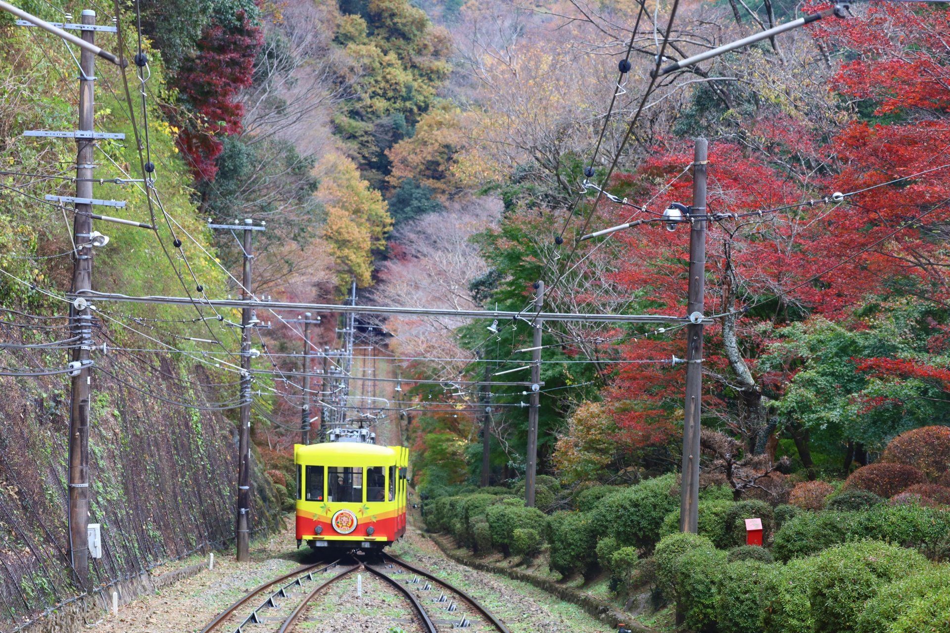 高尾山ケーブルカーと紅葉