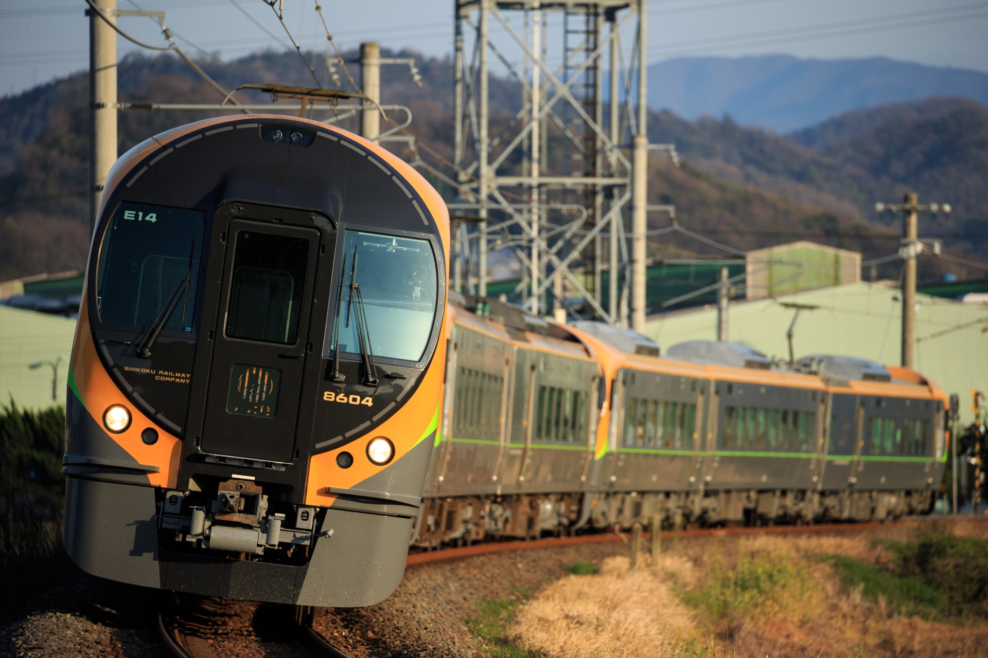 8600系「しおかぜ」「いしづち」