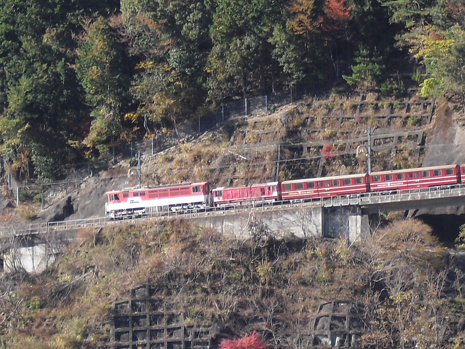 アプト式機関車　赤いトロッコ列車