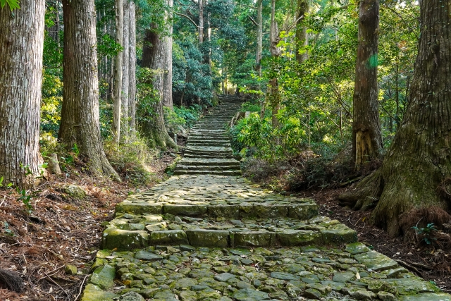 和歌山　熊野古道　大門坂