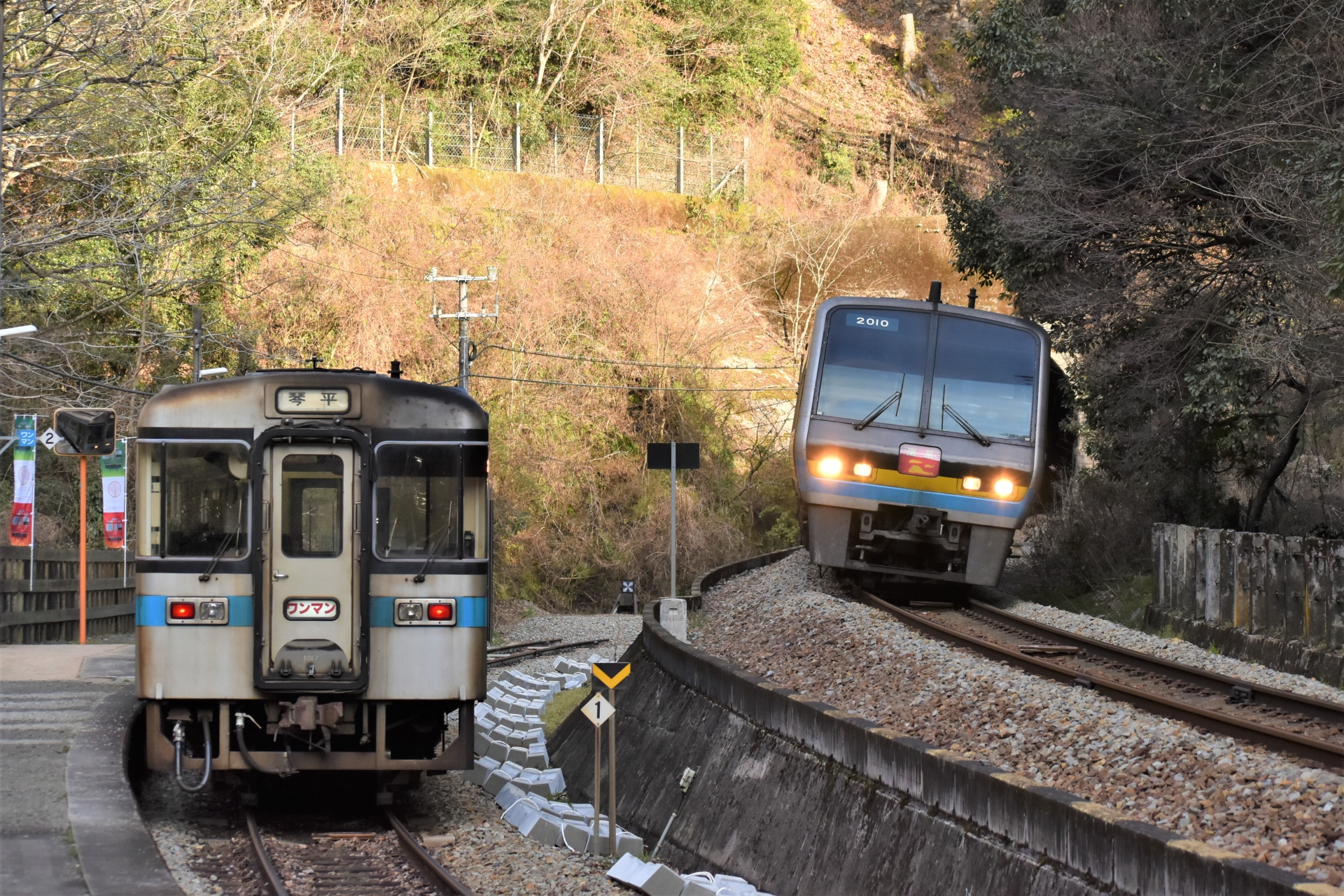 坪尻駅を通過するJR四国特急南風