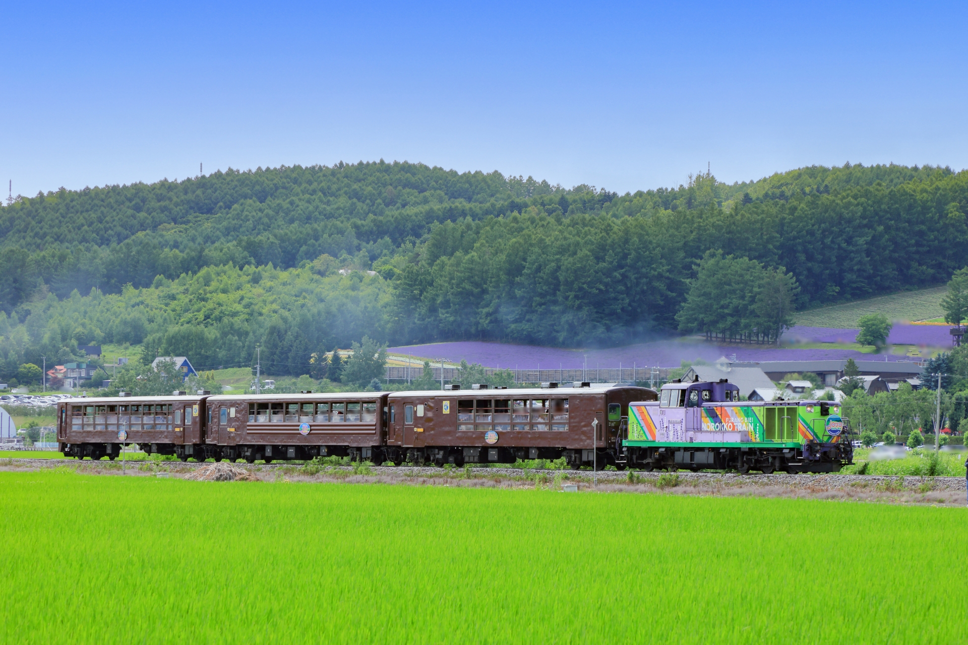 富良野美瑛ノロッコ号