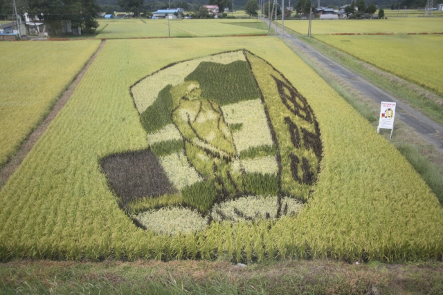 田んぼアート 秋田内陸線