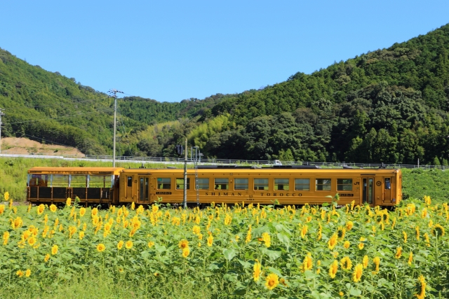 しまんトロッコ列車