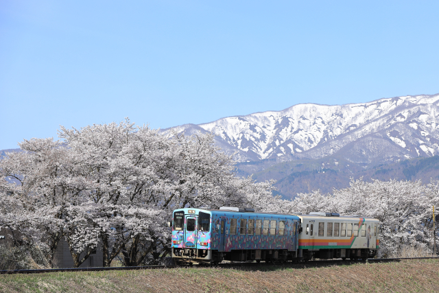 フラワー長井線2両編成