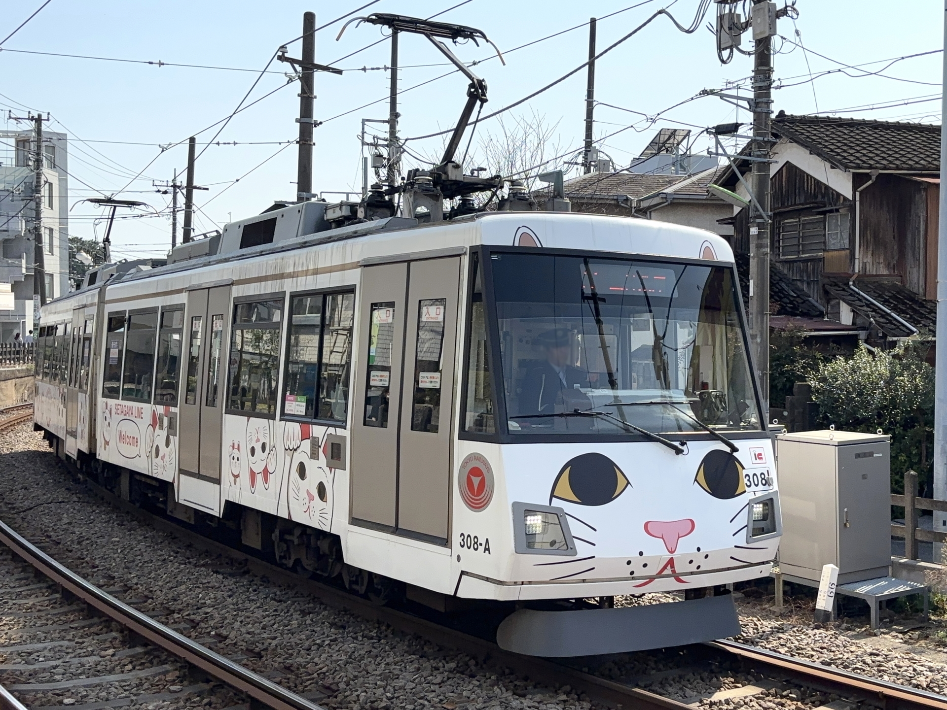 東急世田谷線の幸福の招き猫電車