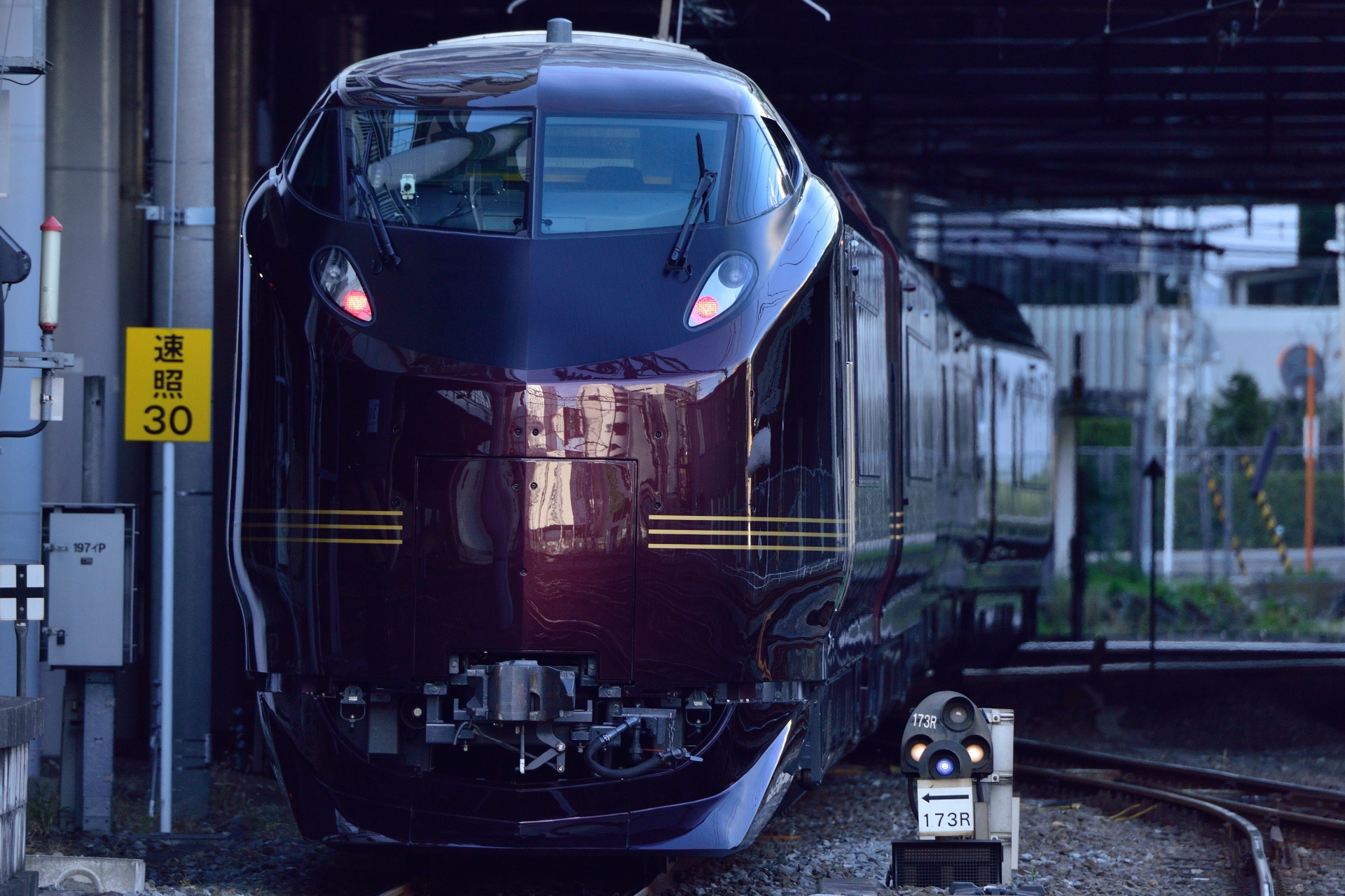JR東日本E655系「和」
