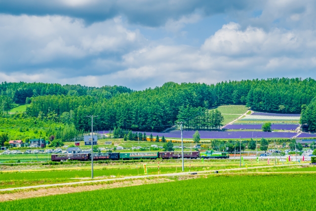 JR北海道富良野線「ラベンダー畑駅」