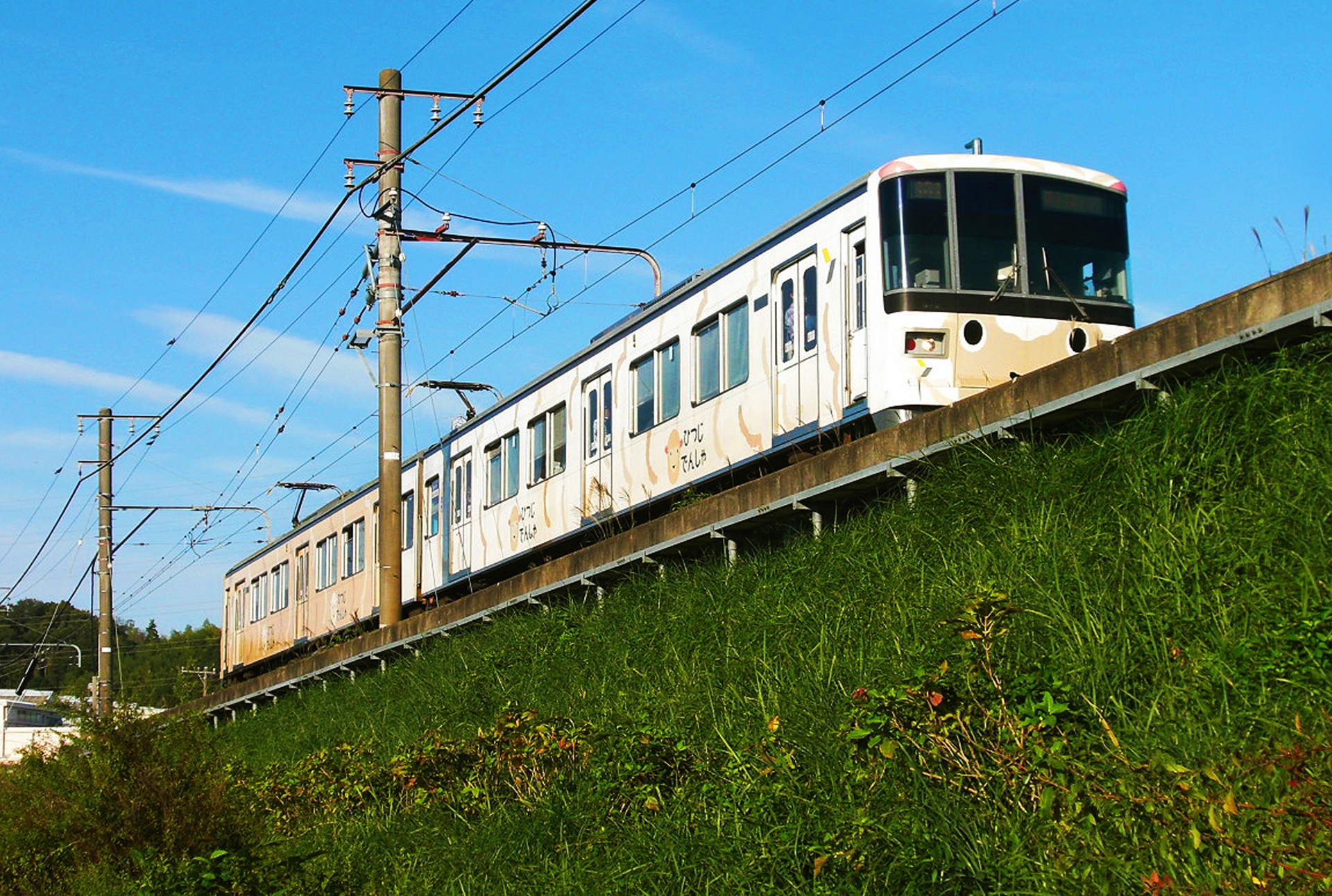 ひつじ電車