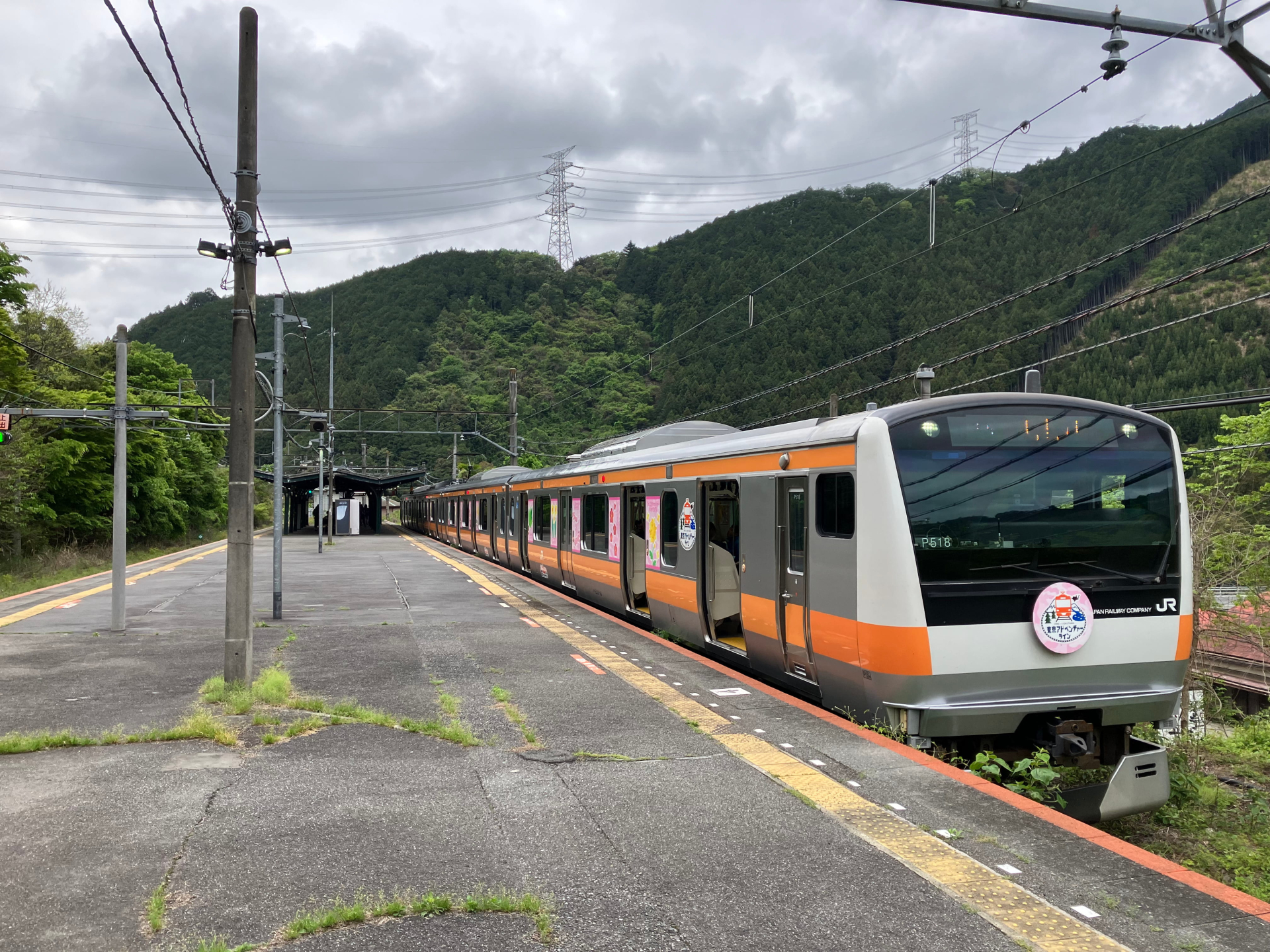 ワンマン運転が可能なE233系P編成（御嶽駅）