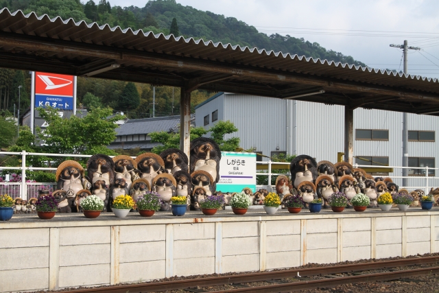 信楽高原鉄道、信楽駅に並ぶたぬき