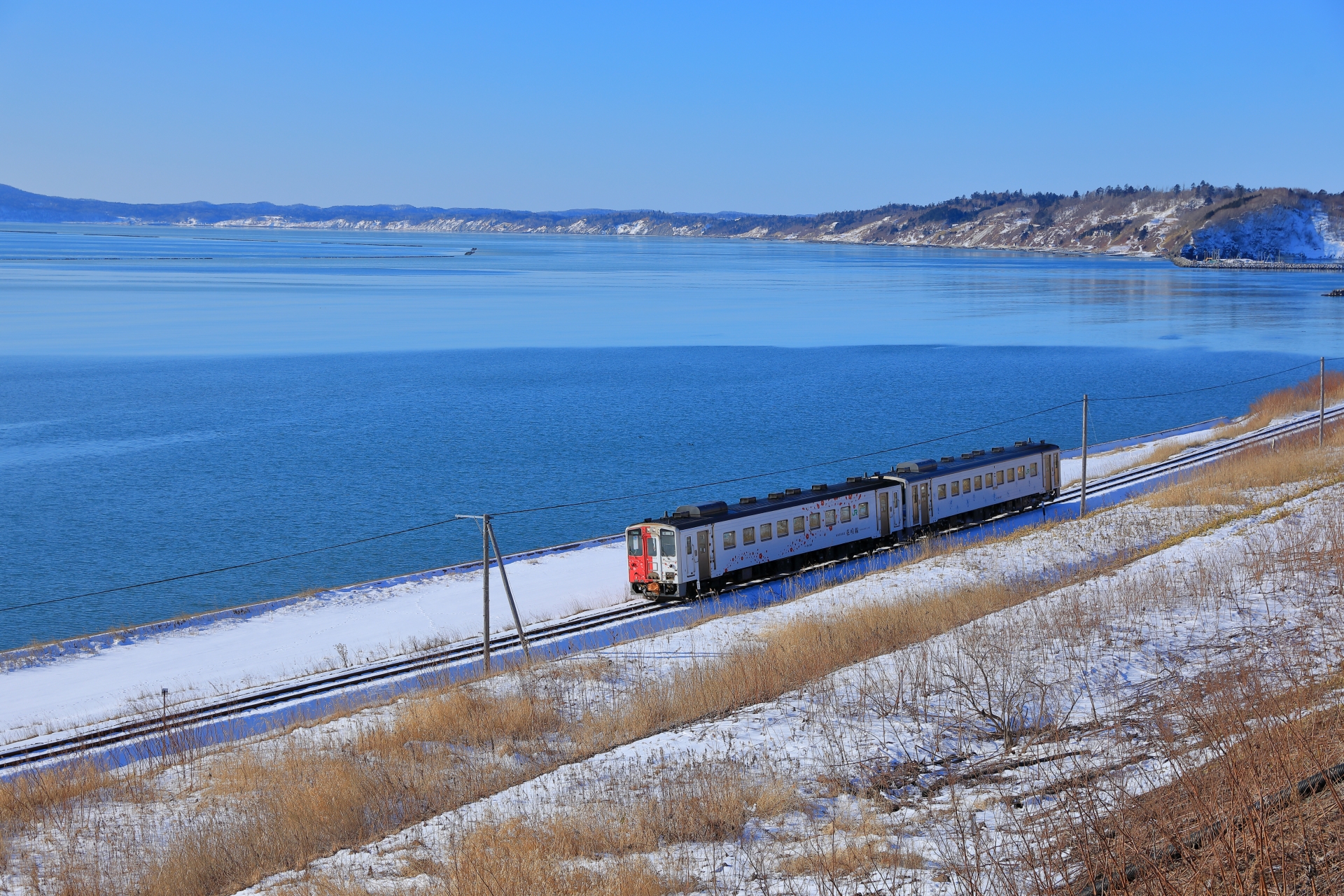 花咲線キハ54形