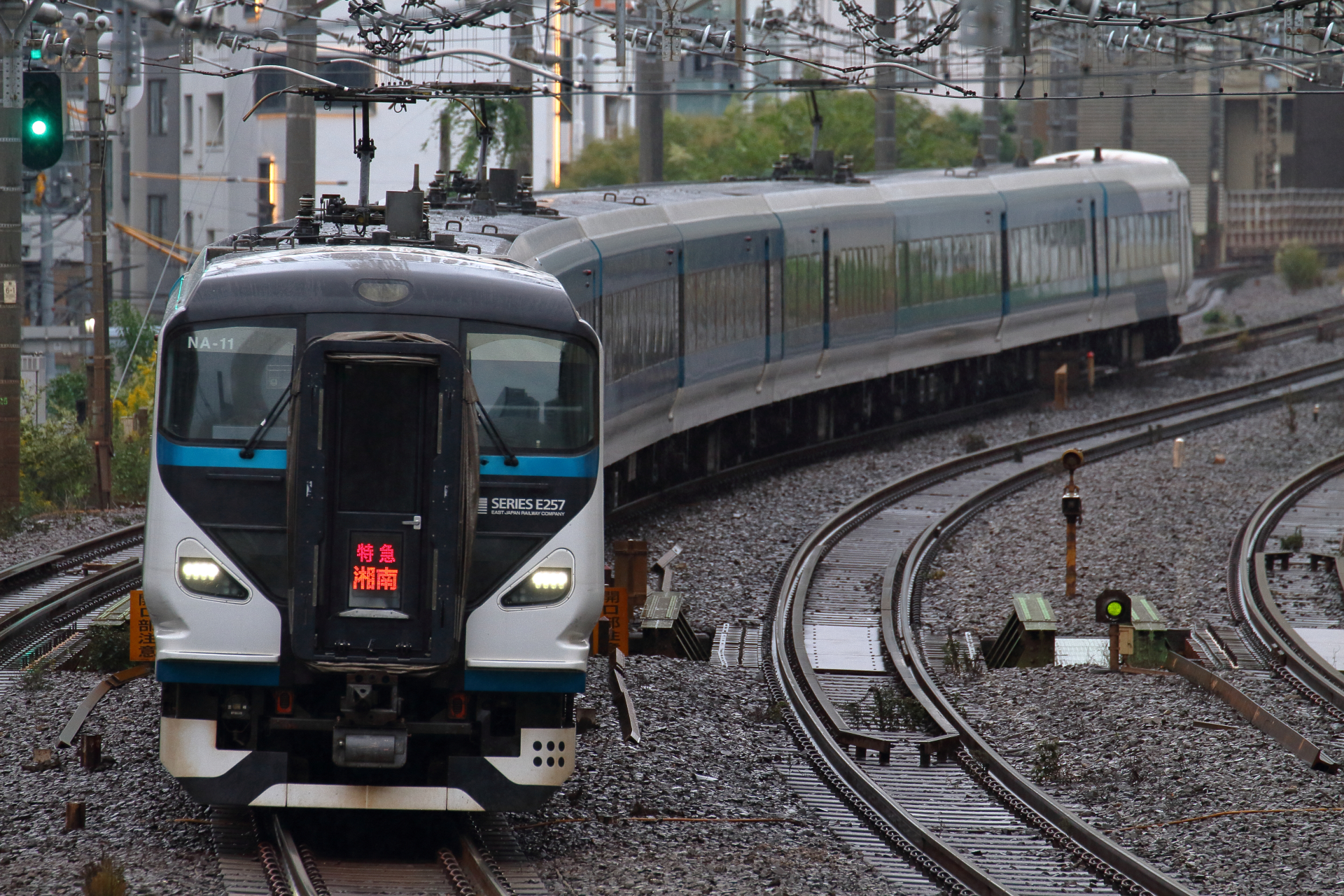 E257系　特急「湘南」