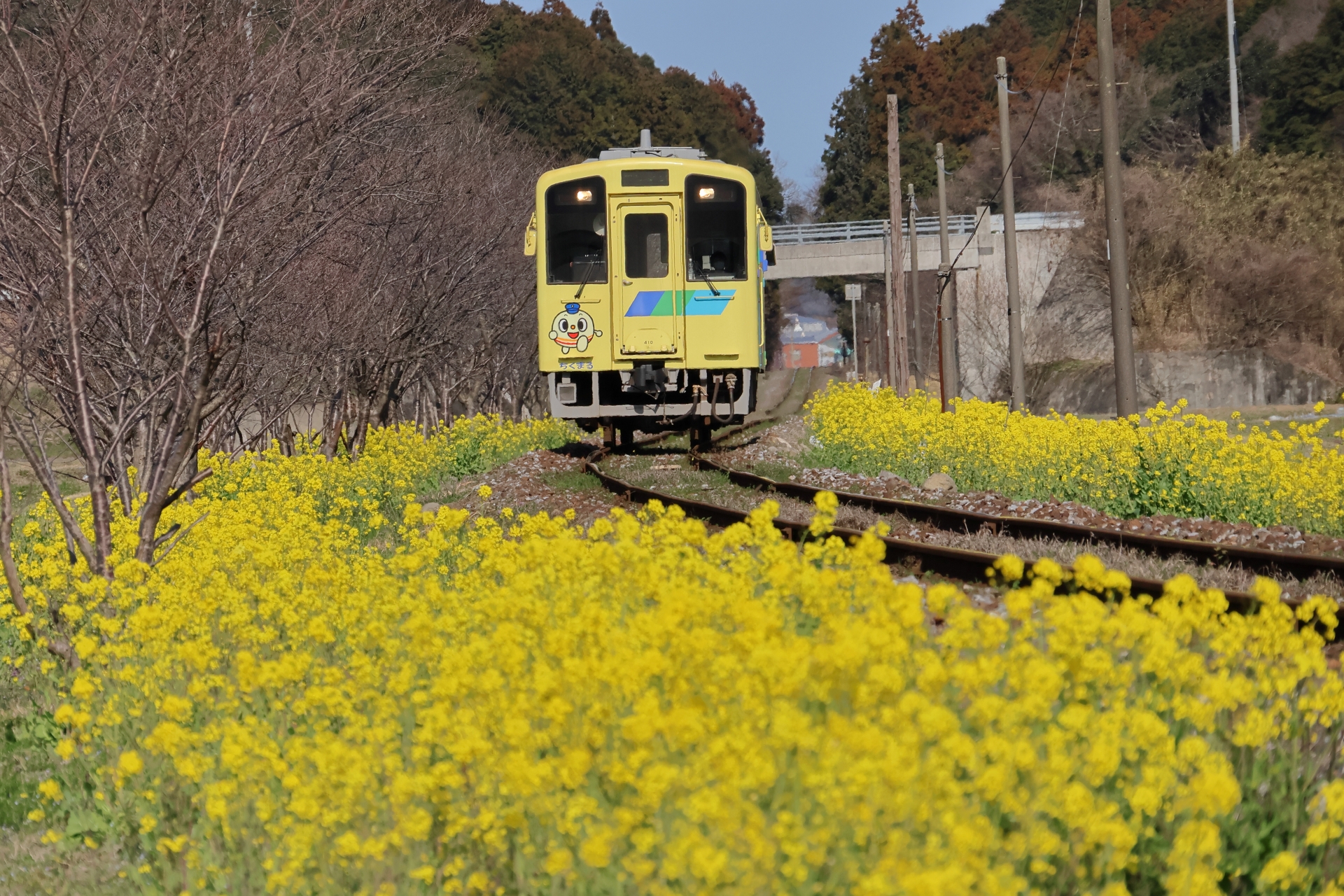 平成筑豊鉄道400形　なのはな号