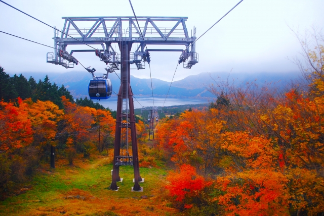 箱根ロープウェイと紅葉