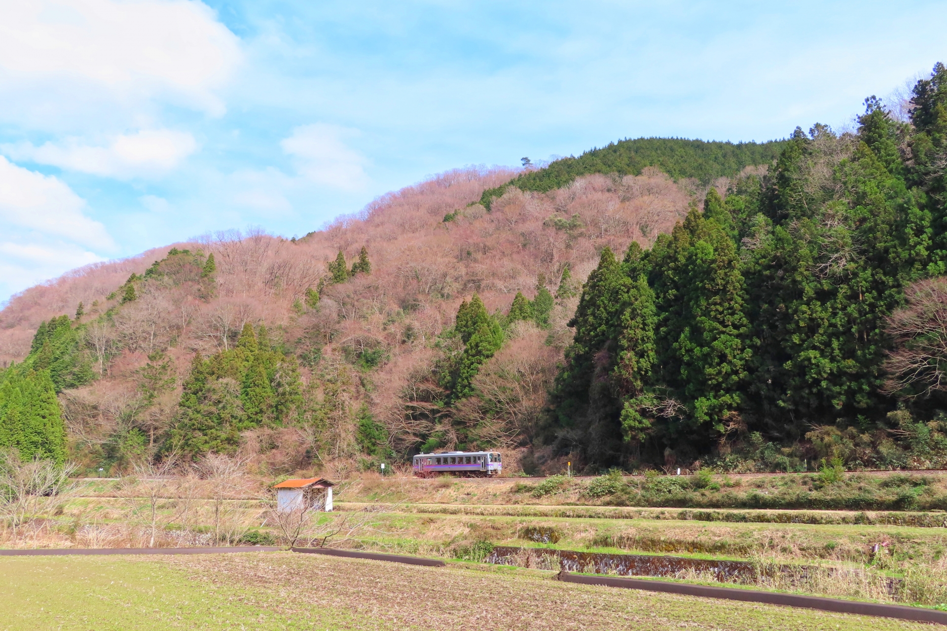 芸備線キハ120形広島車