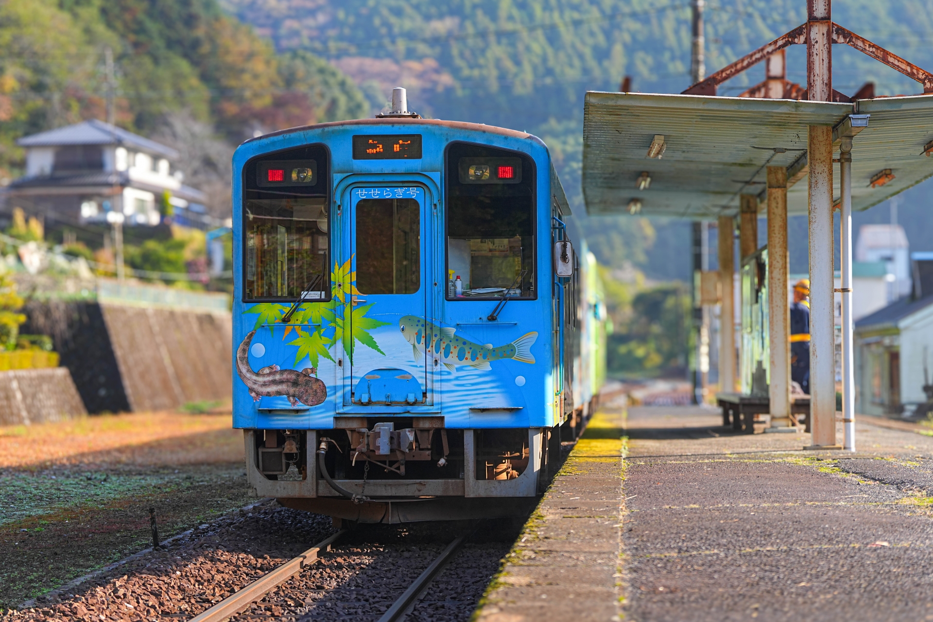 錦川鉄道NT3001せせらぎ号