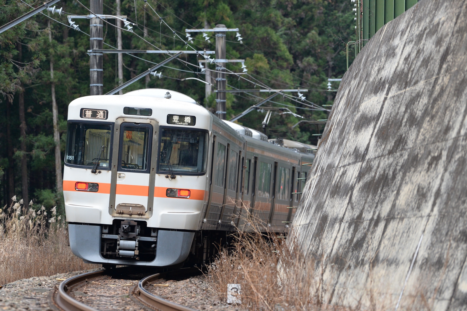 飯田線313系普通列車