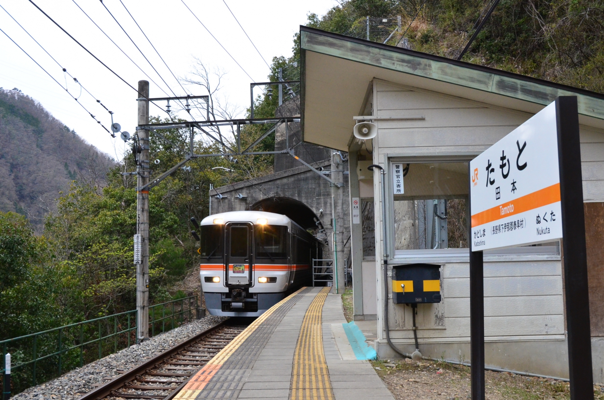 飯田線田本駅と373系急行「飯田線秘境駅号」