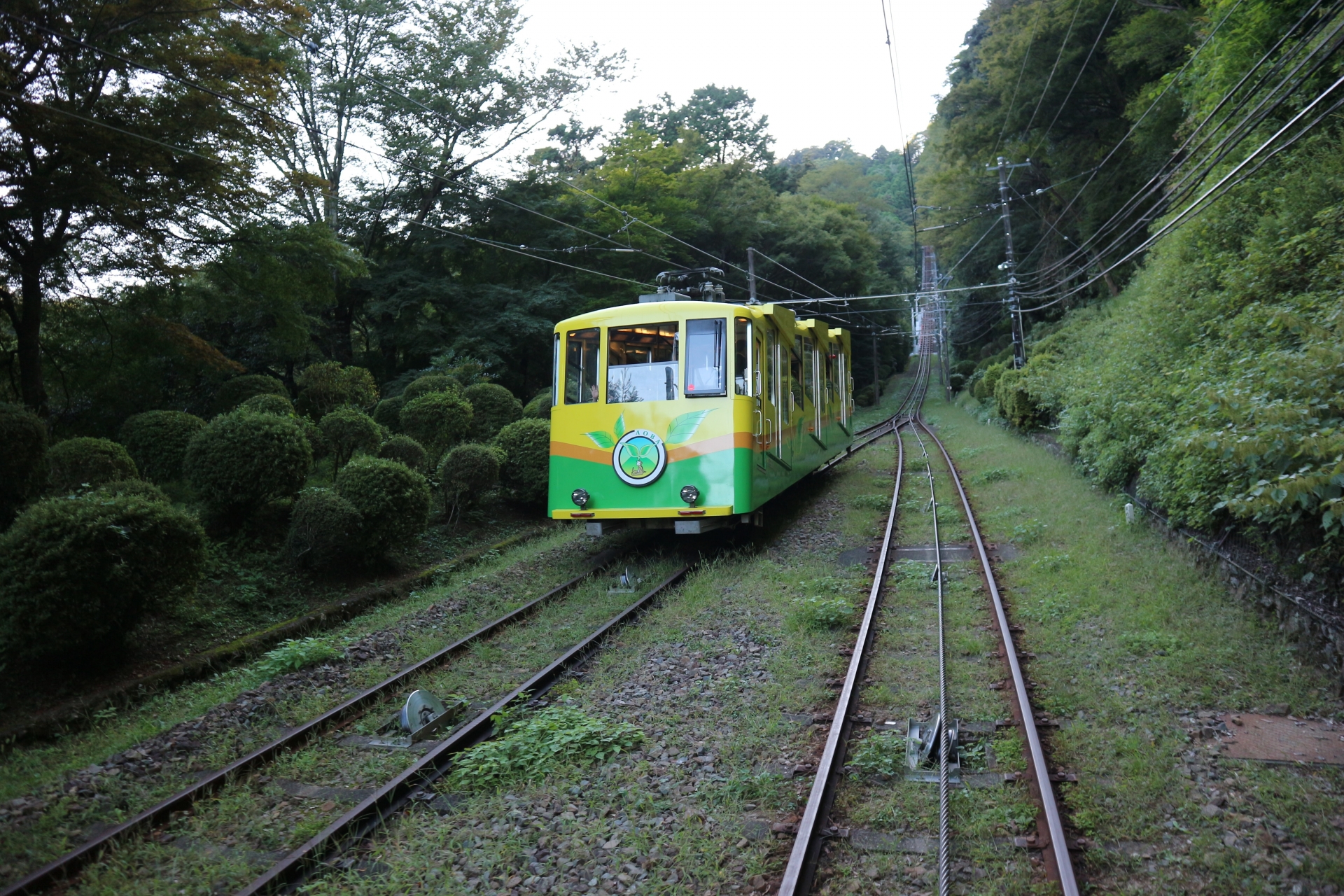 高尾山ケーブル「青葉号」