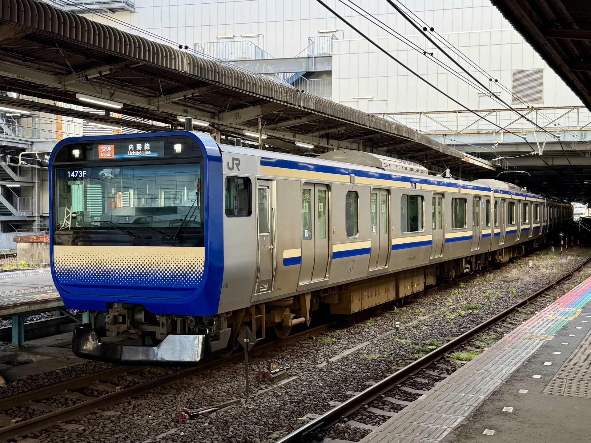 内房線E235系千葉駅